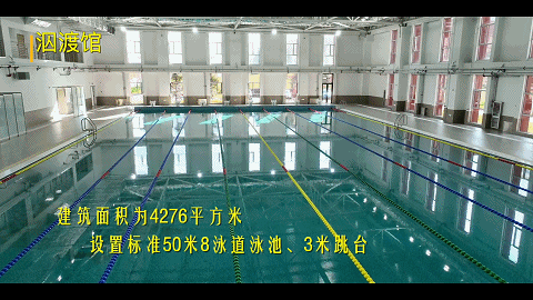 为什么体型在篮球训练中起着关键作用_0